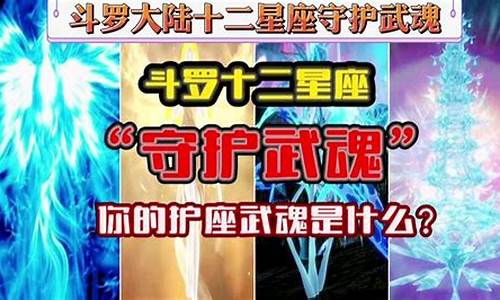 十二星座武魂_十二星座武魂和魂力排名