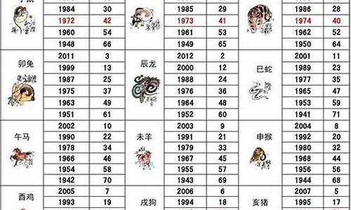 2024年的生肖是什么_2024年27岁什么生肖属相最好呢女