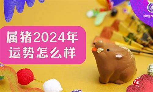 亥猪2024年的运势怎么样好不好_2024年猪人全年运势